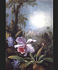 Orchids Passion Flowers and Hummingbird by Martin Johnson Heade